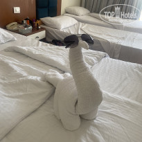 фото из отзыва ID 2736070