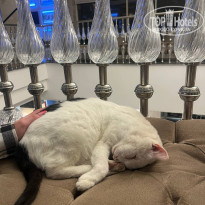 фото из отзыва ID 2736073