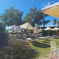 фото из отзыва ID 2736080