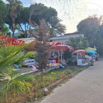 фото из отзыва ID 2736080