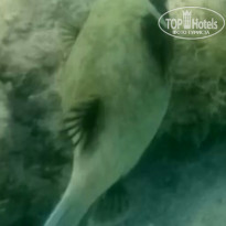 фото из отзыва ID 2735673