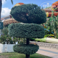 фото из отзыва ID 2736099