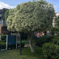 фото из отзыва ID 2736099