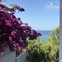 фото из отзыва ID 2736095