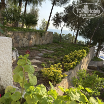 фото из отзыва ID 2736095