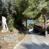 фото из отзыва ID 2736095