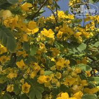 фото из отзыва ID 2734071