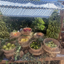 фото из отзыва ID 2736116