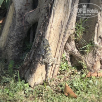 фото из отзыва ID 2736116