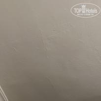 фото из отзыва ID 2736135