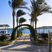 фото из отзыва ID 2736140