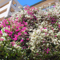 фото из отзыва ID 2736140