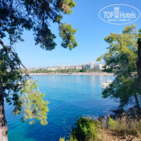 фото из отзыва ID 2736139