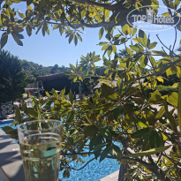 фото из отзыва ID 2736139