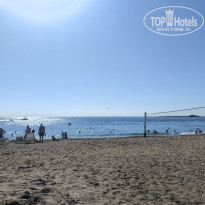 фото из отзыва ID 2736139