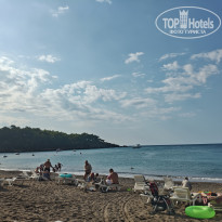 фото из отзыва ID 2736139