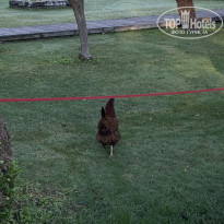 фото из отзыва ID 2736155