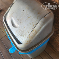 фото из отзыва ID 2736166