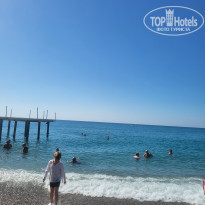 фото из отзыва ID 2736166