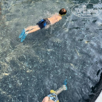 фото из отзыва ID 2735758