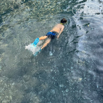 фото из отзыва ID 2735758