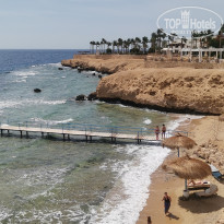 фото из отзыва ID 2736180