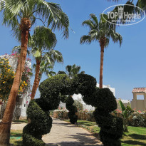 фото из отзыва ID 2736180