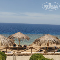 фото из отзыва ID 2736180