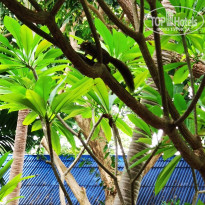 фото из отзыва ID 2736192