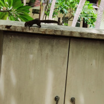 фото из отзыва ID 2736192