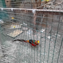 фото из отзыва ID 2736195