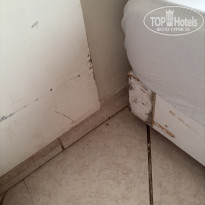 фото из отзыва ID 2736206