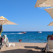 фото из отзыва ID 2736211