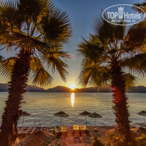 фото из отзыва ID 2736224