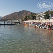 фото из отзыва ID 2736224