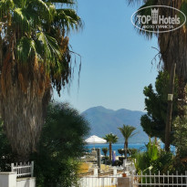 фото из отзыва ID 2736224