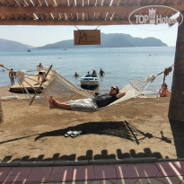 фото из отзыва ID 2736224