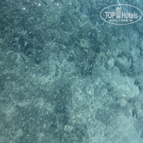 фото из отзыва ID 2736227