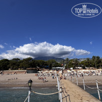 фото из отзыва ID 2736227