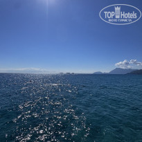 фото из отзыва ID 2736227