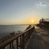 фото из отзыва ID 2736235