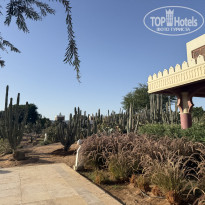 фото из отзыва ID 2736235