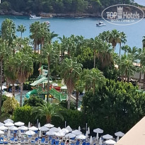 фото из отзыва ID 2735372