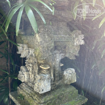 фото из отзыва ID 2736241