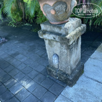 фото из отзыва ID 2736241