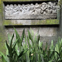 фото из отзыва ID 2736241