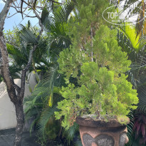 фото из отзыва ID 2736241