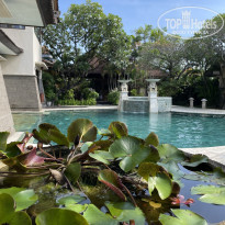 фото из отзыва ID 2736241