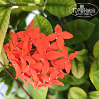 фото из отзыва ID 2736256