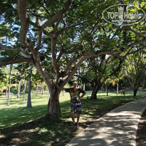 фото из отзыва ID 2736256